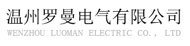 溫州東鴻智能科技有限公司